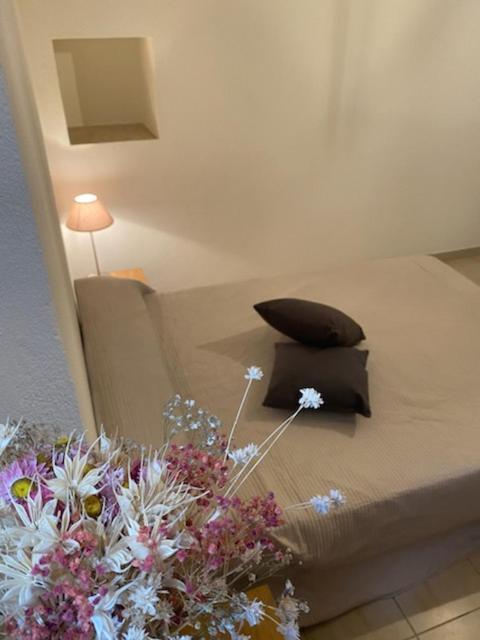 Appartement De Charme Vieille Ville Corte  Eksteriør billede